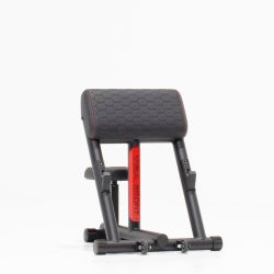NFZ206 Principale 11 Curl Bench Next/Forza NFZ206